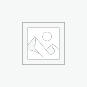 Dome Security Camera